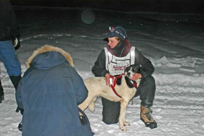  Dina Lund  Getting One Of Her Dogs Checked At Trinity Checkpoint