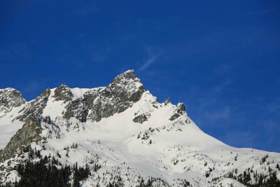  Buck Mountain In Winter Coat