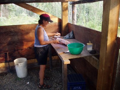   Kathy Johnson  Preparing Chinook Salmon For Drying Rack