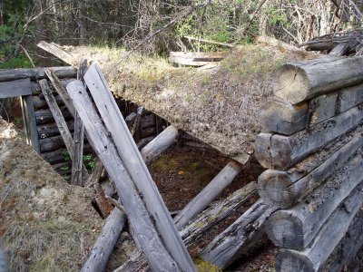  Colapsed Old  Canadian Mountie Cabin At Head Of Lake Labarge