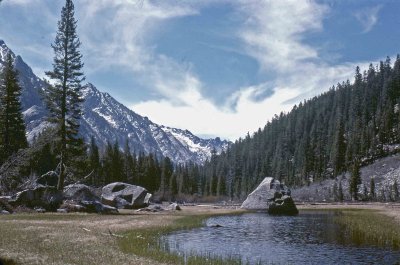 Grouse Meadows  (Sierras)