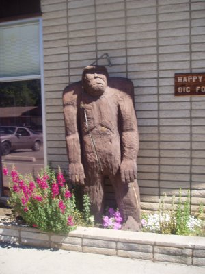  Bigfoot At Happy Camp Calif. ( This Is A  Federally Protected Bigfoot  )