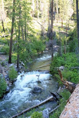  View Of Lovely Mad River ( While Climbing Over large Blow  Down)