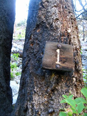  Only Trail Sign Left ( Mile Mark #1)