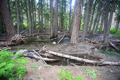 River Re-Routes Itself In A Few Places ( Trail Here Is In Middle Of Trees)