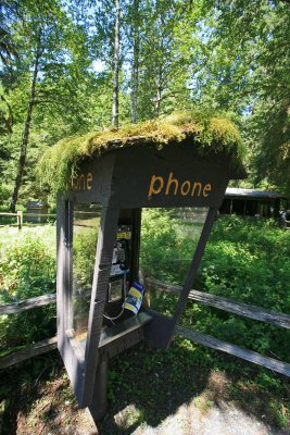 Phone Booth At Trail Head ( 150 Inches Of Rain A Year!!)