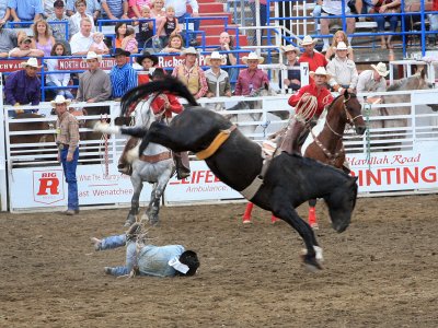 Bareback  Ridin,,,, Didn't Make 8 Seconds........