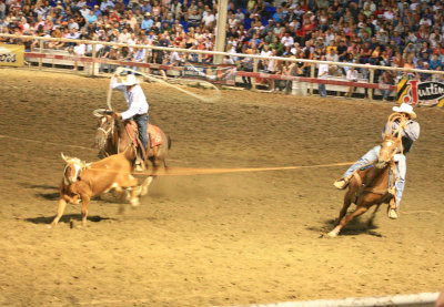 Team Roping At Stampede Rodeo ( Shot At ISO 3200)
