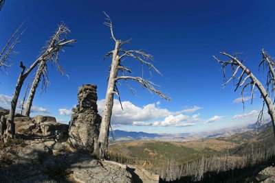  Snag's View From Sugarloaf Mt.