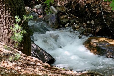 The creek rushes by during monsoon.