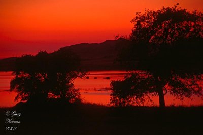 Sunset at Lake Success.