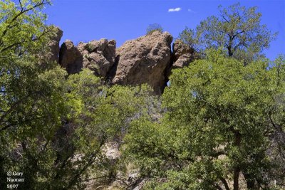Rocks above trees at visitor center looking NW.