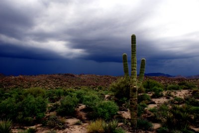 Storms fury