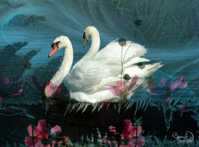 SwanFlowers.jpg