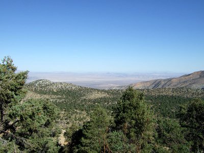 Mojave Desert From The San Bernadino Mountains