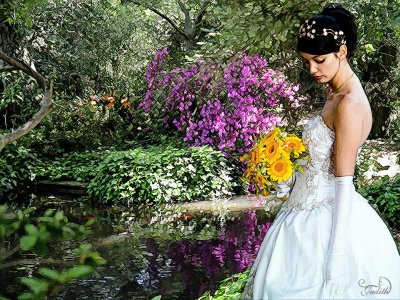 Bride In The Garden
