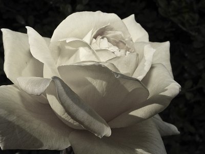 g6/39/6739/3/82093966.AR99PlbA.jpg
