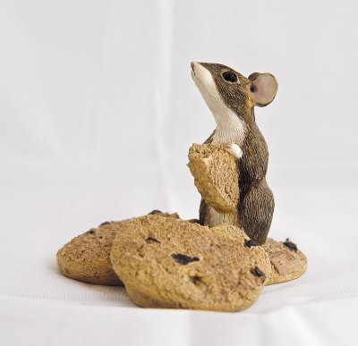 Mouse On Chocolate Chip Cookie