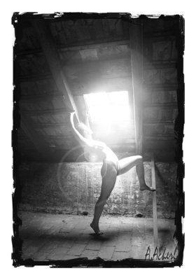 Into the light(b/w)