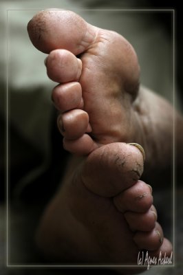 Hard Working Feet (colour)