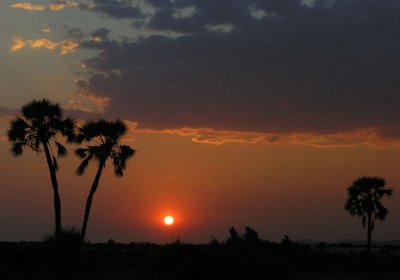 Palmwag sunset.