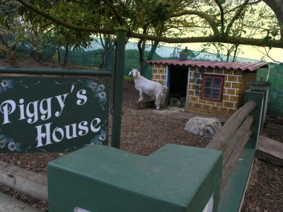 The Pottery Piggys House