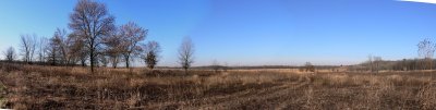forest preserve 13 rs.jpg