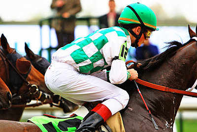 Rider Frozen On Horseback