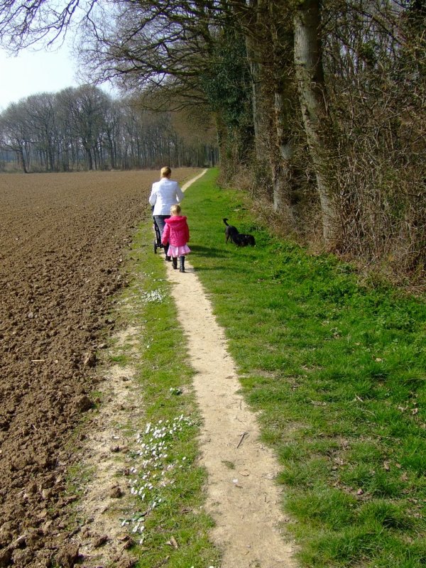 walk the dog