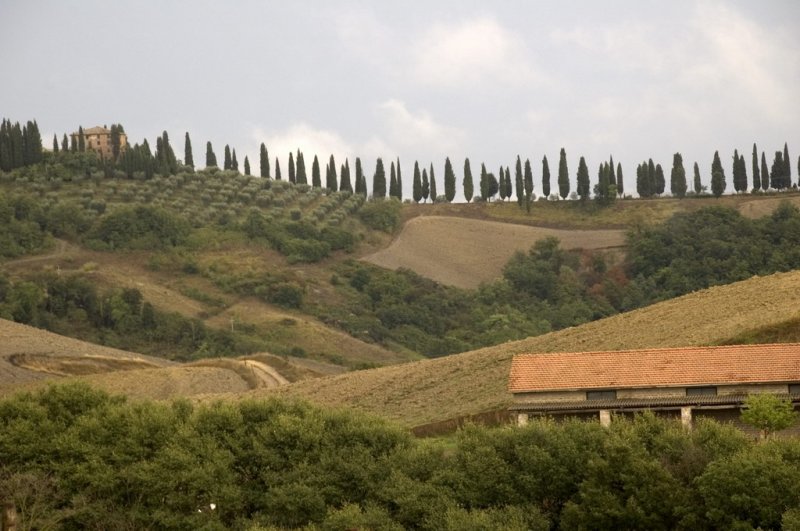 Tuscany 2005