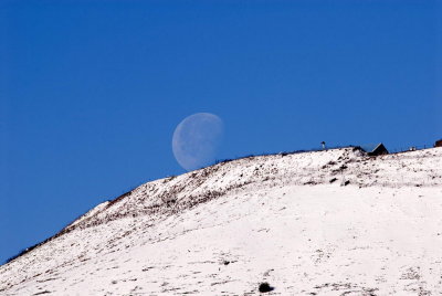 DSC_0373.jpg
