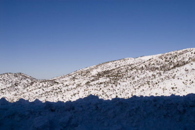 DSC_0388.jpg