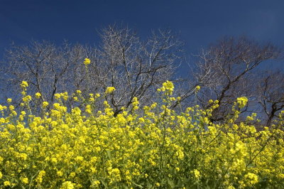 DSC_3992.jpg