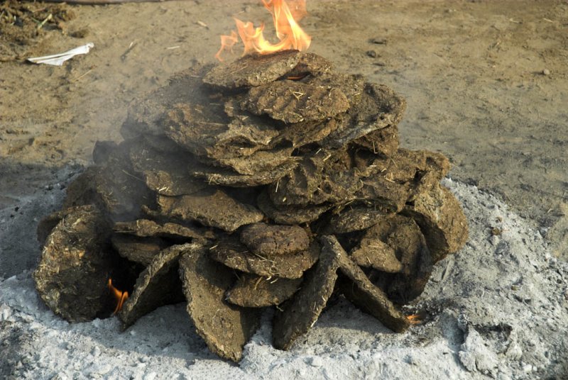 Cooking fire of pressed dung cakes