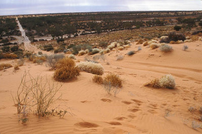 Track across the dunes