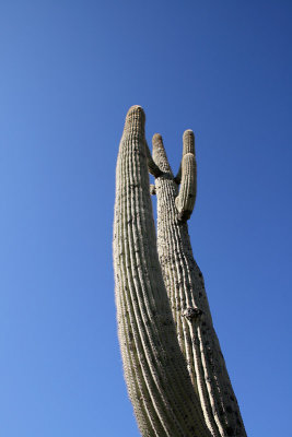 desert8.jpg