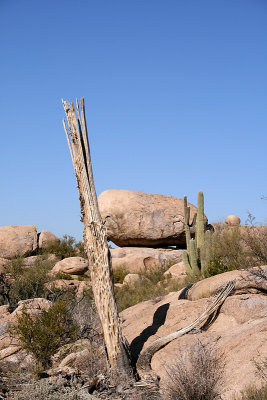 desert10.jpg
