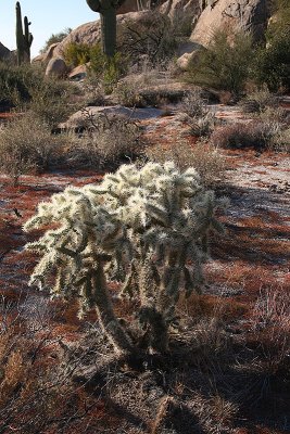 desert11.jpg