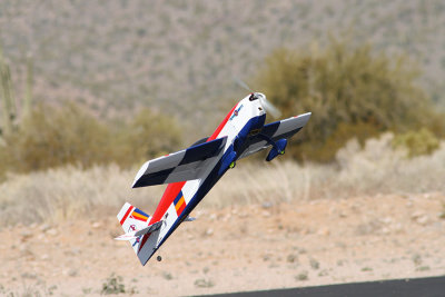 More harrier