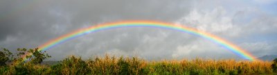 Rainbow near Wailua Falls