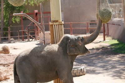 IMG_6811.JPG