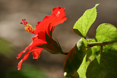 IMG_6817.JPG