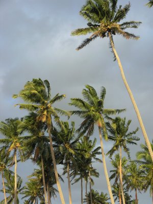 Honeymoon 131.JPG