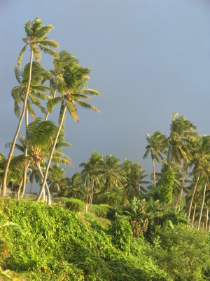 Honeymoon 171.JPG