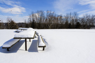 White Picnic.jpg