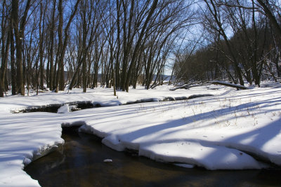 Winter Stream.jpg