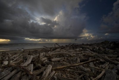 2007-6-5 4581 Driftwood.jpg