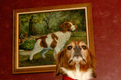Hamlin and Sadie (R.I.P.)