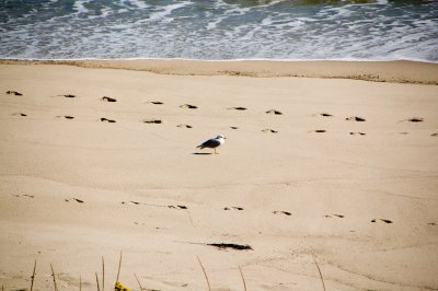 DSC_0359.jpg
