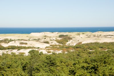 DSC_03690050-1.jpg
